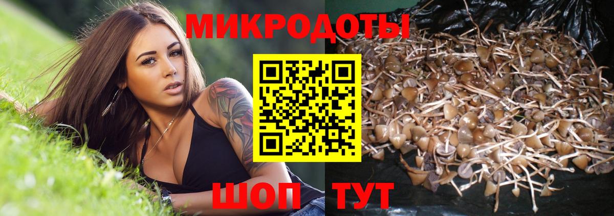 Псилоцибиновые грибы ЛСД  Вход с VPN  Печора 